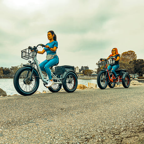 Perraro Panda Electric Trike: A Comprehensive Overview of Comfort, Efficiency, and Versatility